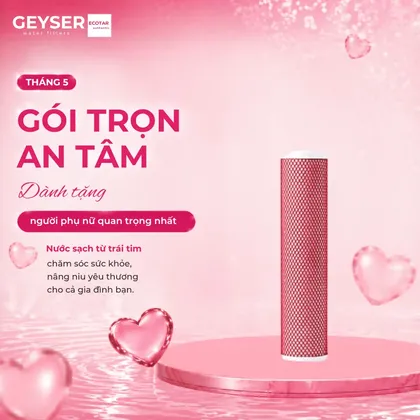 Lõi lọc Geyser Aragon 3 20BB